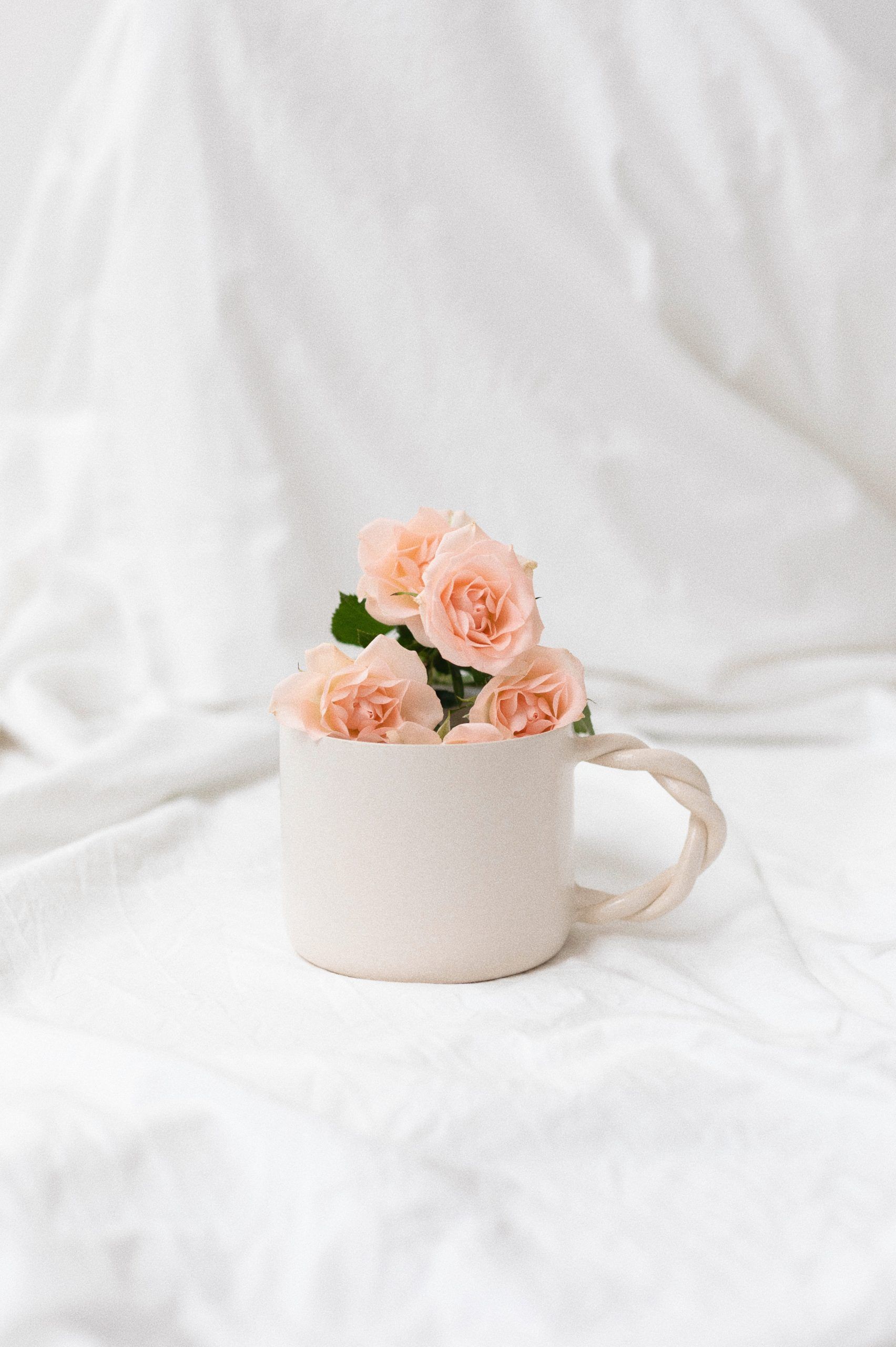 Taza Romance